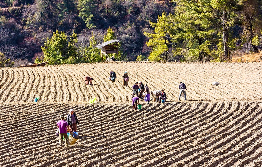 ferme-visite-avec-diner-bhutanais-avec-une-famille-locale