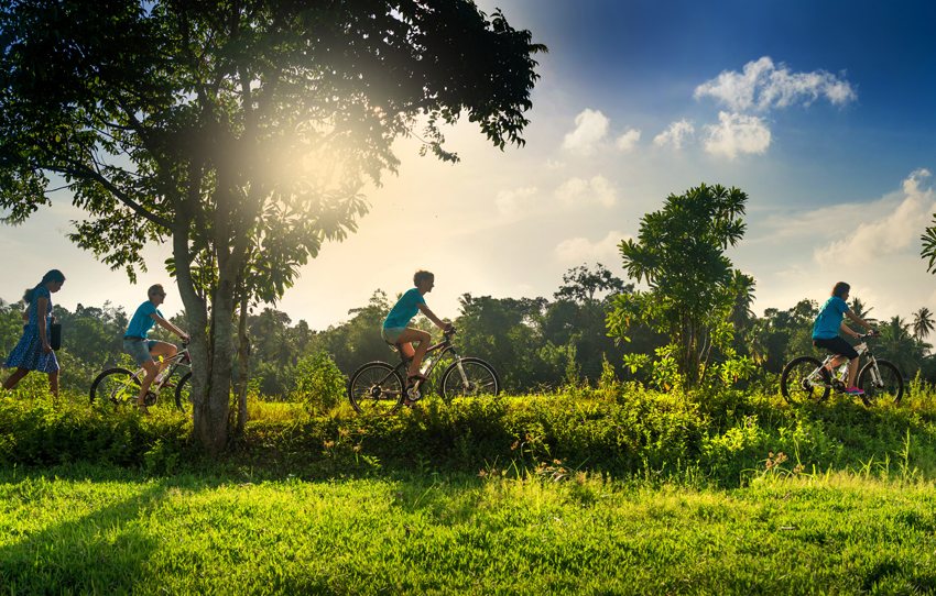rizieres-plantations