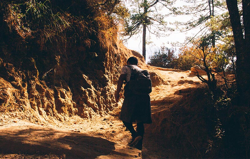 cueillette-guidee-de-champignons