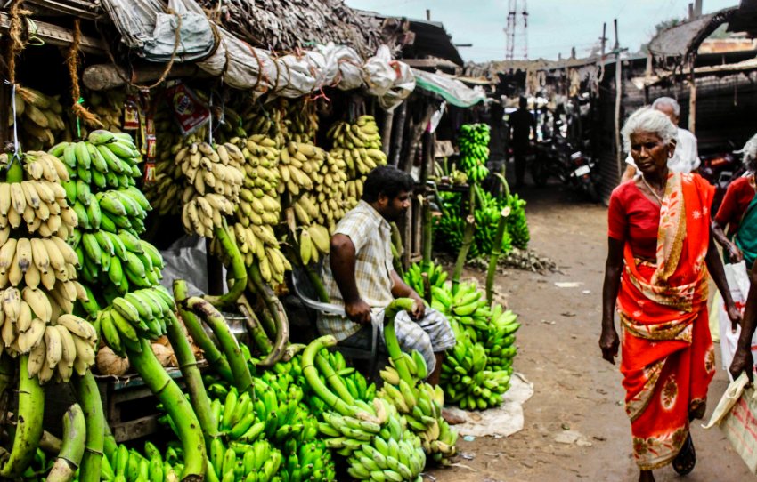 apres-midi-marche-tea-munnar