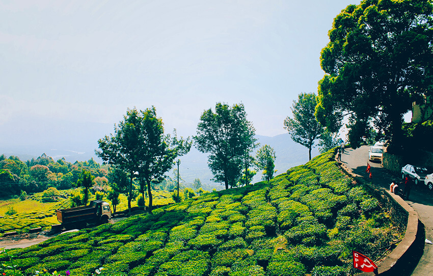 munnar-history-walk