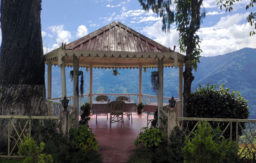 Journee-des-cueilleurs-de-the