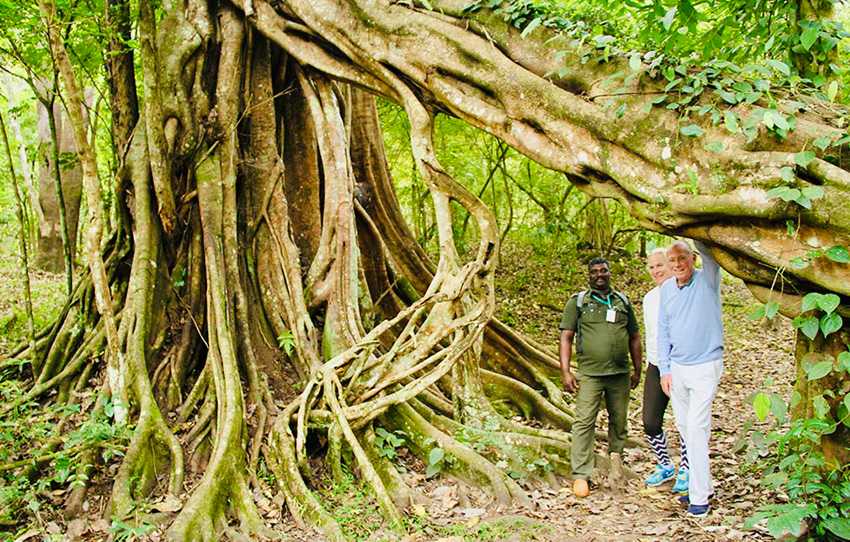 marche-dans-la-nature