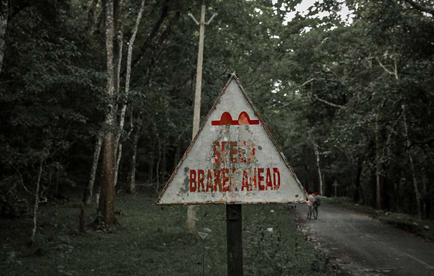 marche-dans-la-nature