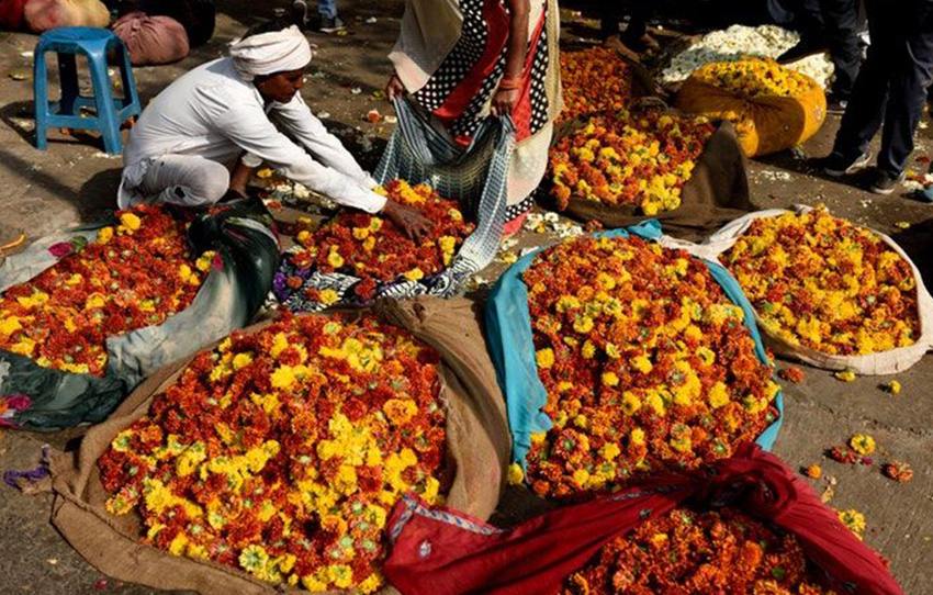 visite-en-pousse-pousse-de-la-ville-rose