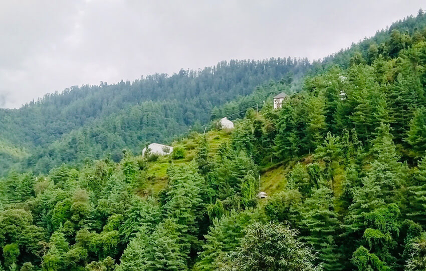 sentier-de-la-beaute-endormie