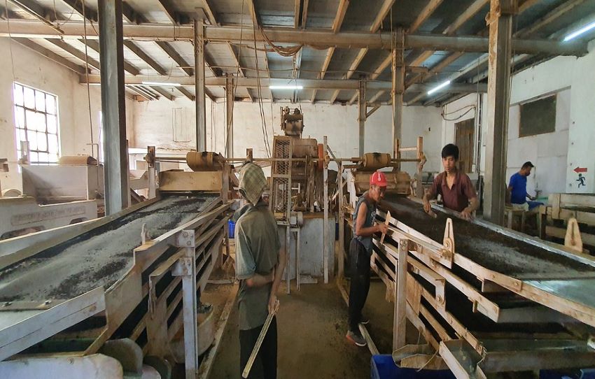 Journee-des-cueilleurs-de-the