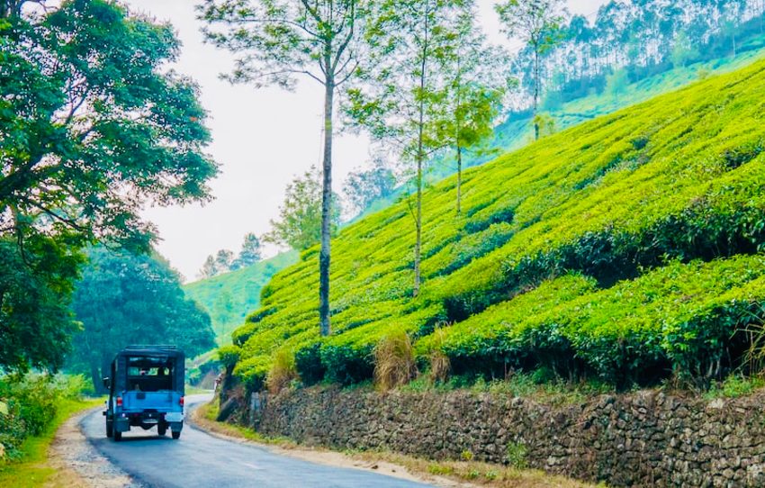 faites-votre-propre-tasse-de-the