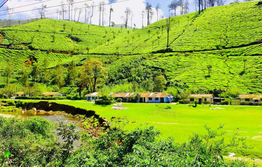 pothamedu-point-de-vue