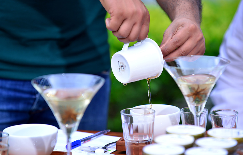 dejeuner-et-chutes-deau