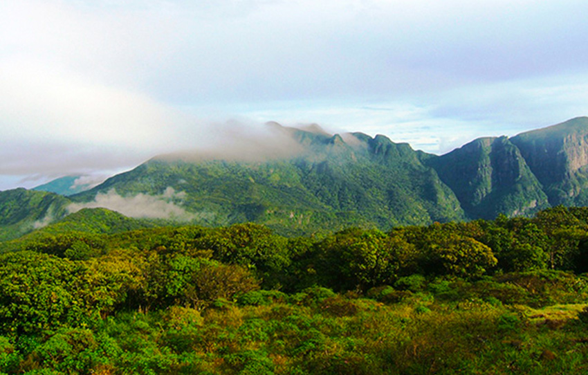 trekking-in-knuckles