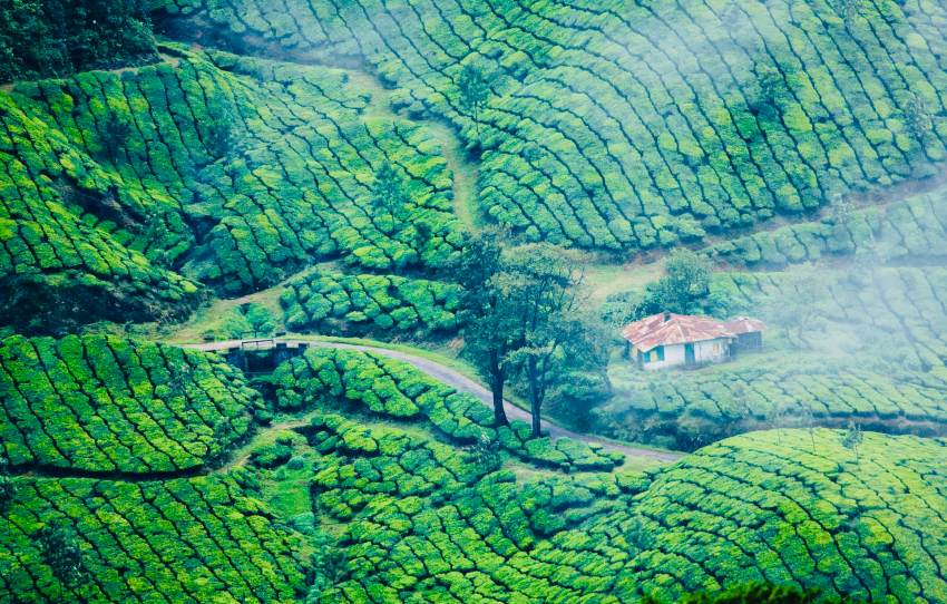 pedaler-a-travers-le-village-de-Letchmi