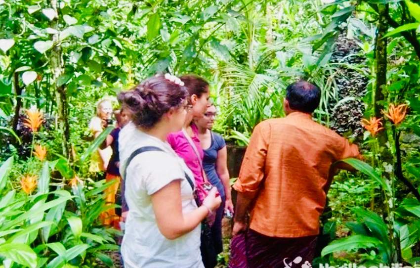 spice-plantation-tour