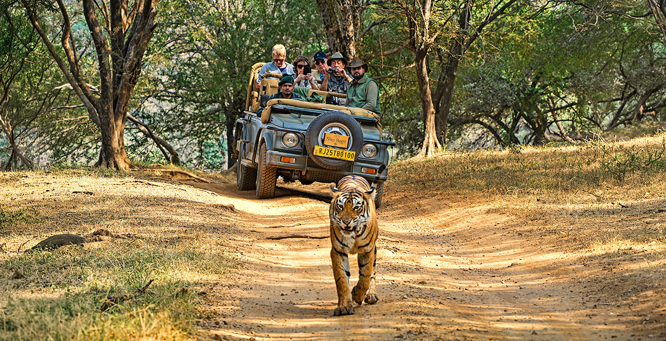 triangle-d-or-indien